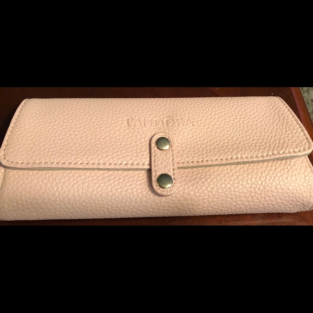 Pandora travel case